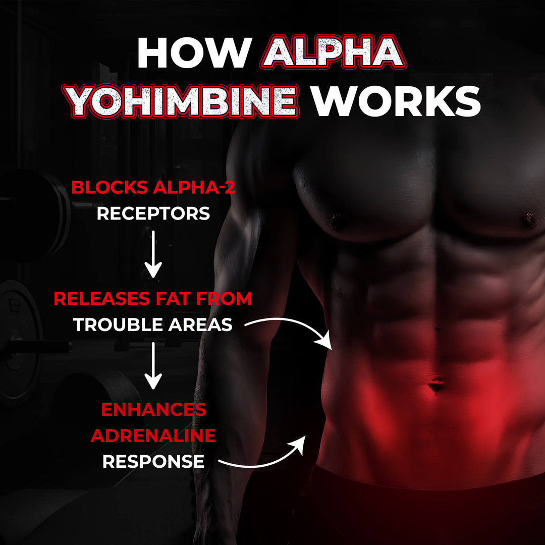 ALPHA YOHIMBINE