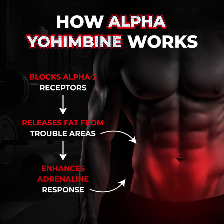 ALPHA YOHIMBINE